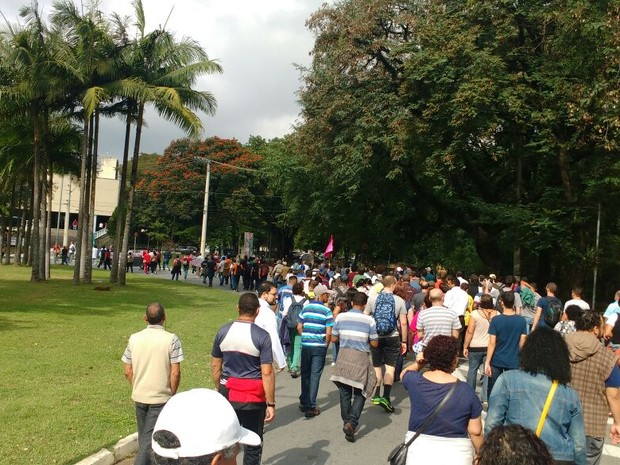 Grupo se reuniu no campus da Universidade de São Paulo (Foto: Matheus Steinmeier/Simesp)