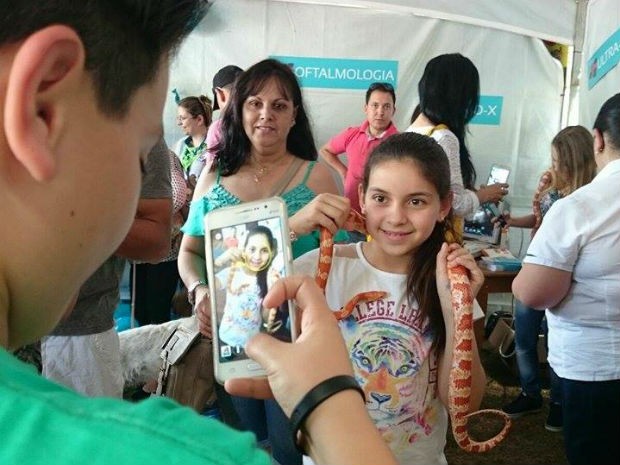 Hospital Veterinário levou cobras para as pessoas pegarem e conhecerem (Foto: Renata Marconi/G1)