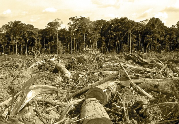 Desmatamento na Amazônia (Foto: Thinkstock/Getty Images)