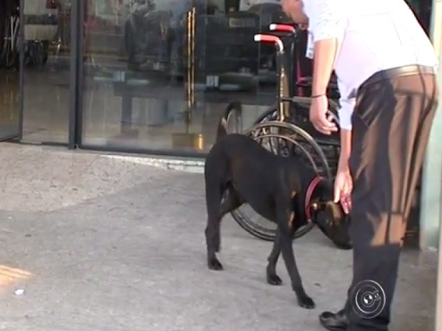 Cão recebe carinho de seguranças do hospital (Foto: Reprodução TV TEM) Cão recebe carinho de seguranças do hospital (Foto: Reprodução TV TEM)