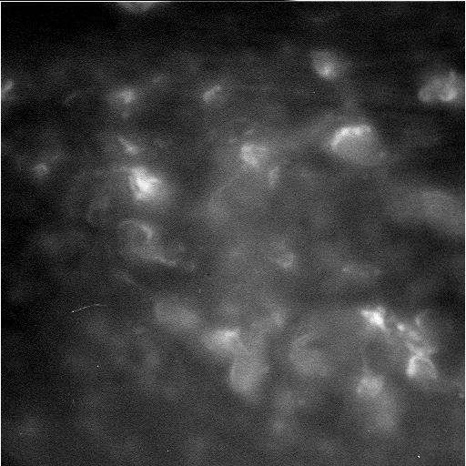 Tempestades e redemoinhos de Saturno (Foto: Nasa)