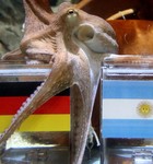 Sucessores
 não repetem sucesso de Paul (Roland Weihrauch/DPA/AFP)