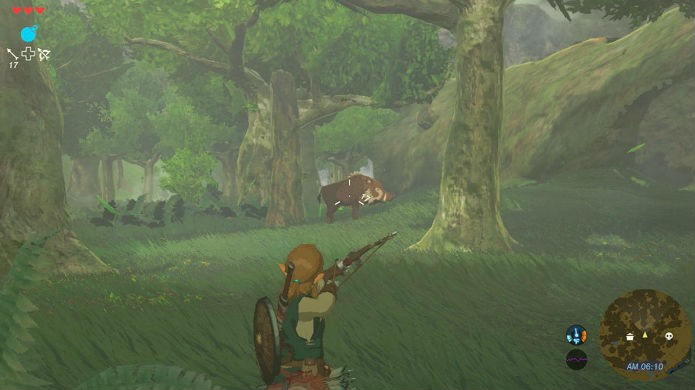 The Legend of Zelda: Breath of the Wild tem uma longa campanha principal (Foto: Divulgação/Nintendo)