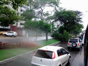 Árvore bloquetou a faixa esquerda da avenida e deixou trânsito congestionado (Foto: Sérgio Henrique Santos/Inter TV Cabugi)