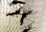 Dengue (Foto: Reprodução)