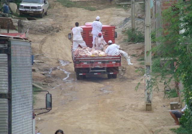 Caminhão-baú teve problemas mecânicos. (Foto: Internauta/ VC no G1)