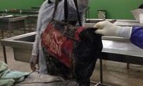 IML-PI divulga Imagens e Pede Ajuda Para identificar Mulher esquartejada (IML / Divulgação)