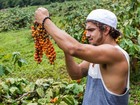 Caio Castro visita fazenda de guaraná no Amazonas