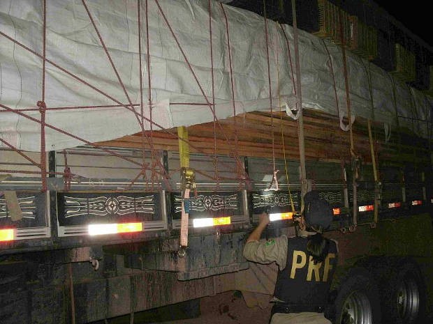 PRF apreende 30m³ de madeira em Dom Eliseu, Pará, durante fiscalização. (Foto: Divulgação / PRF)