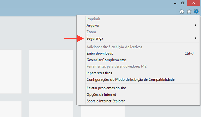 Acessando as opções de segurança do Internet Explorer para iniciar uma navegação anônima (Foto: Reprodução/Marvin Costa)
