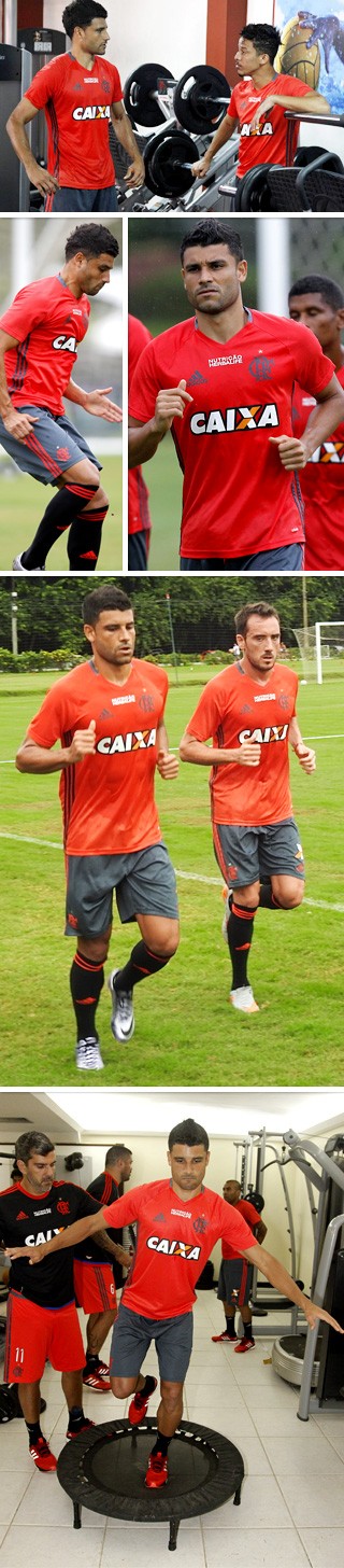 Mosaico-EDERSON-Flamengo (Foto: infoesporte)