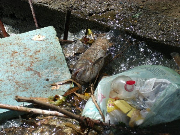 Ao registrar os fotos dos peixes mortos, morador acaba registrando outra situação no local: lixo às margens do Ribeirão (Foto: Divulgação / Alessandro Paques Rios)