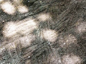 Ilha de Porto Belo tem rochas com inscrições rupestres (Foto: Gessica Valentini/RBS TV)