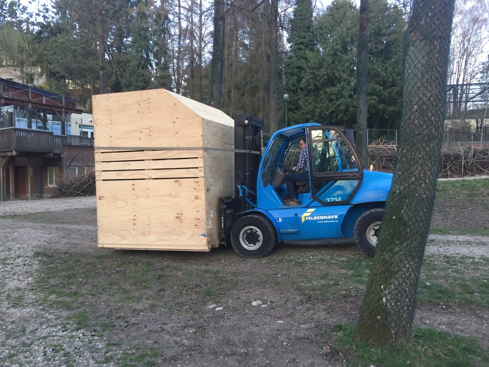 No zoo austríaco, animais foram colocados dentro de caixa para serem transportados (Foto: Zooparque de Itatiba/Divulgação)