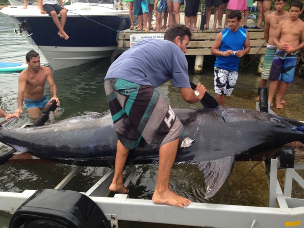 Marlin azul foi pescado em Florianópolis (Fot Anselmo Prada/RBS TV)