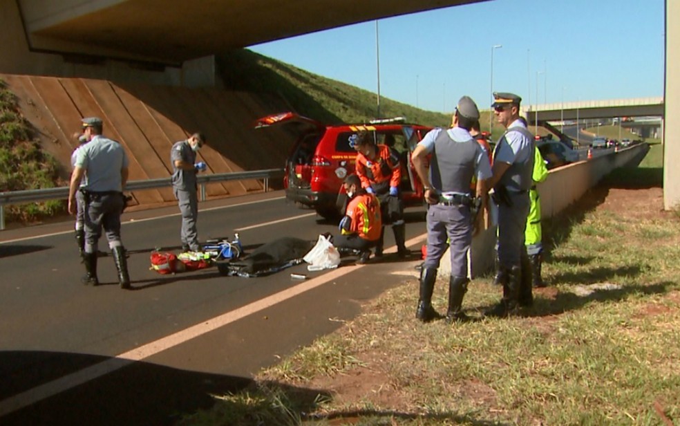 Agente penitenciário morre após cair de viaduto em rodovia em Ribeirão Preto (SP) (Foto: Ronaldo Gomes/EPTV)
