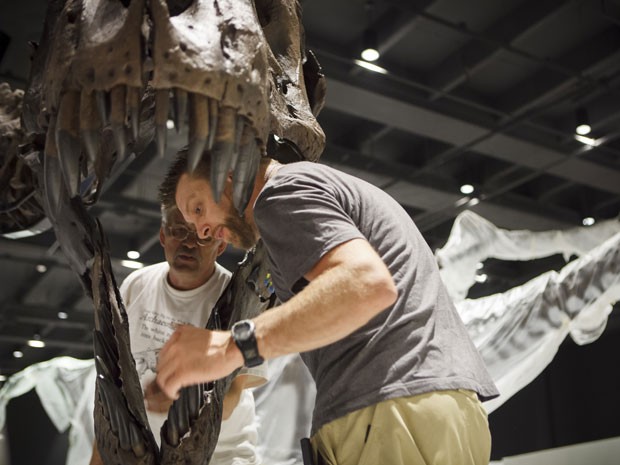 Organizadores preparam exposição de dinossauros em Houston (Foto: AP Photo/Michael Stravato)