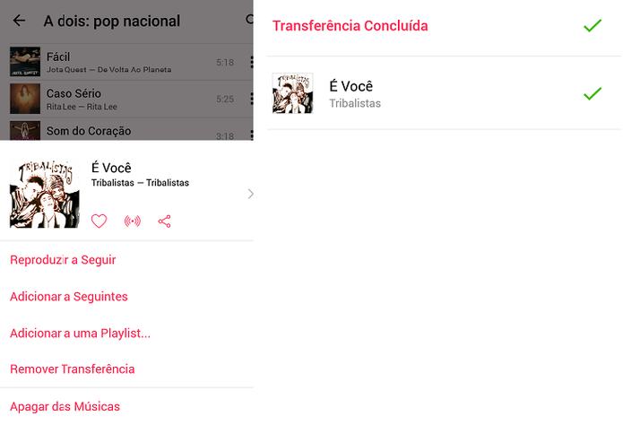 Escolha as músicas que deseja baixar (Reprodução/Carol Danelli)