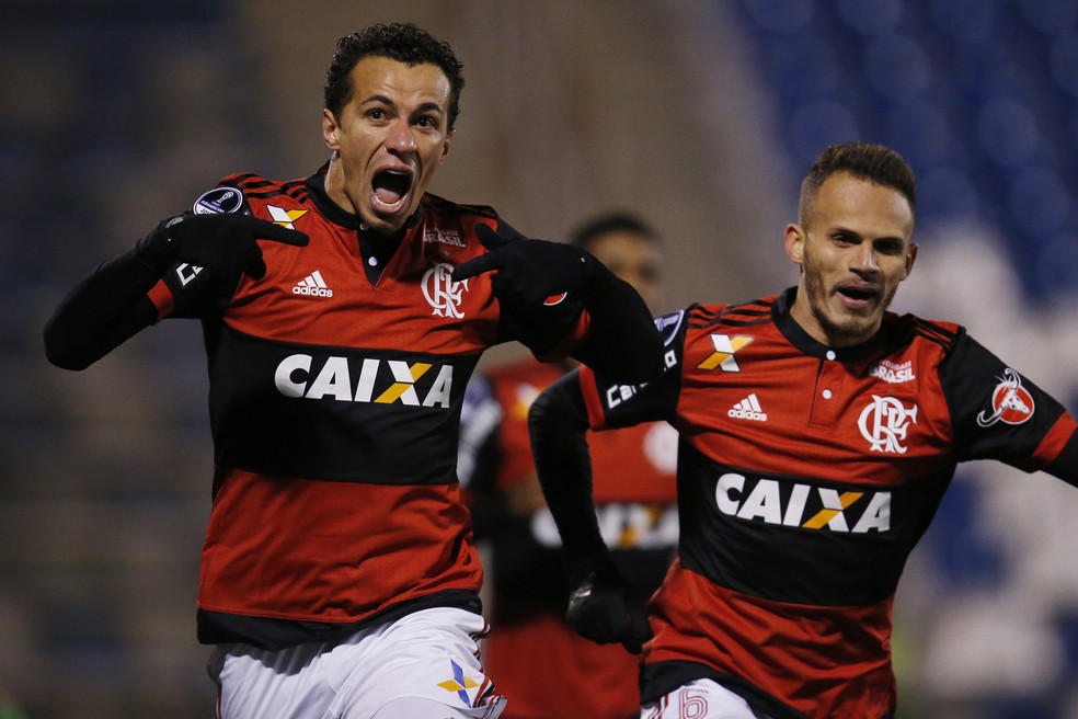 Leandro Damião festeja gol da virada do Flamengo contra o Palestino (Foto: EFE)