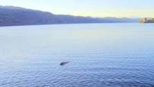 Britânico mostra foto que comprovaria existência do monstro do Lago Ness (Reprodução/Daily Telegraph)