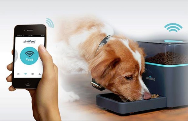 Usuário pode acionar a alimentação do cão por meio do aplicativo (Foto: Reprodução)