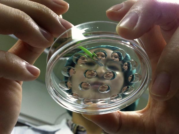 Cientista trabalha na técnica de clonagem conhecida como bissecção de oócitos (Foto: Reuters/Stringer)