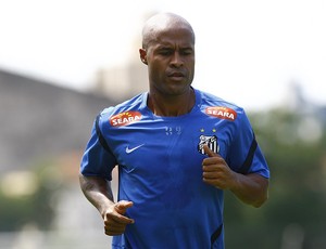 Marcos Assunção treino Santos (Foto: Ricardo Saibun / Divulgação Santos FC)