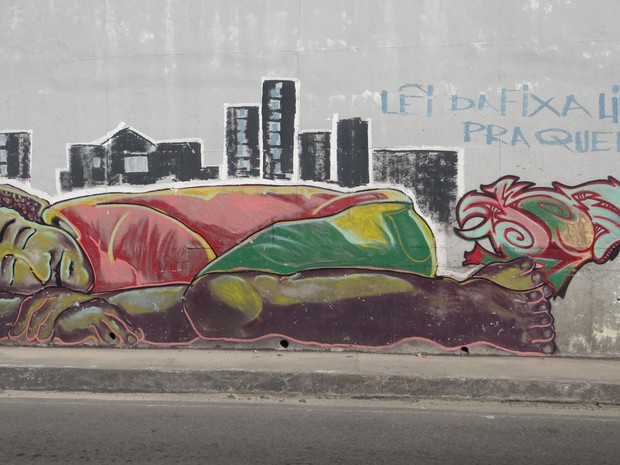 Grafite exposto no viaduto Leste-Oeste (Foto: Nívio Dorta/G1)
