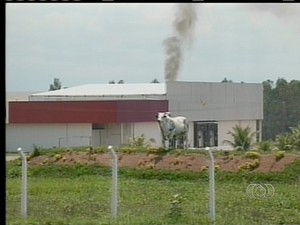 Moradores culpam frigorífico Master Boi pela contaminação do córrego Arrainha, em Nova Olinda (Foto: Reprodução/TV Anhanguera)