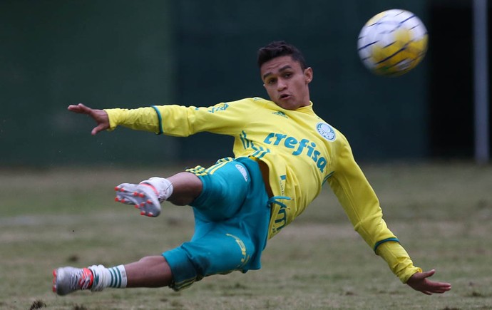 Erik se prontifica a jogar no Palmeiras como Cuca quiser