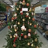 Loja faz 'delivery' 
de árvore de Natal (Loja inova e faz 'delivery' de árvore de Natal (Reprodução/ TV TEM))