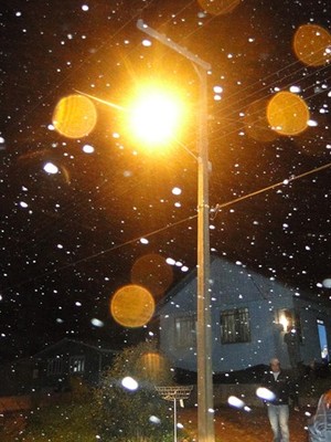 Neve atinge serra de Santa 
Catarina no início da primavera (Agência de Notícias São Joaquim Online)