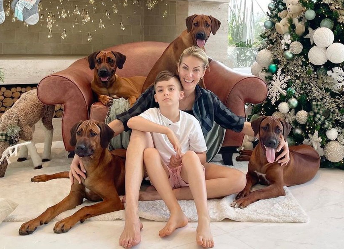 Ana Hickmann posa com o filho e os cachorros (Foto: Reprodução/Instagram ) Ana Hickmann posa com o filho e os cachorros (Foto: Reprodução/Instagram )