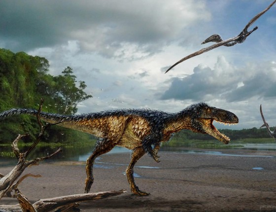 O Timurlengia euotica, um novo tiranossauro. Ele ajuda a recontar a história da evolução desses animais (Foto: Todd Marshall/ Proceedings of the National Academy of Sciences)