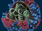Centro-Oeste de MG tem 11 mortes por H1N1 confirmadas em 2016