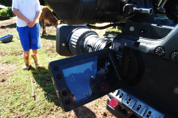 Crianças e adolescentes ajudam os pais na lida com o campo (Foto: Pedro Rockenbach/RBS TV)