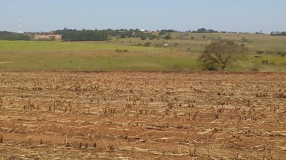 Área atingida totaliza mais de 11 hectares (Foto: Polícia Ambiental/Cedida)