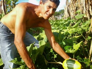 Agricultor mostra abóbora canarinho (Foto: Bié / Blogdopaulomelo.com)