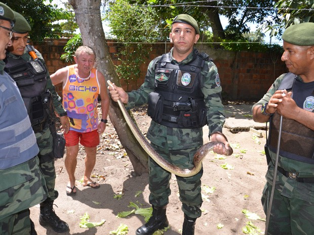 Equipe da Polícia Ambiental capturou o animal (Foto: Walter Paparazzo/G1)