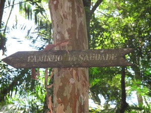Sinalização da Caminho da Saudade na Floresta da Tijuca (Foto: Alba Valéria Mendonça/ G1)