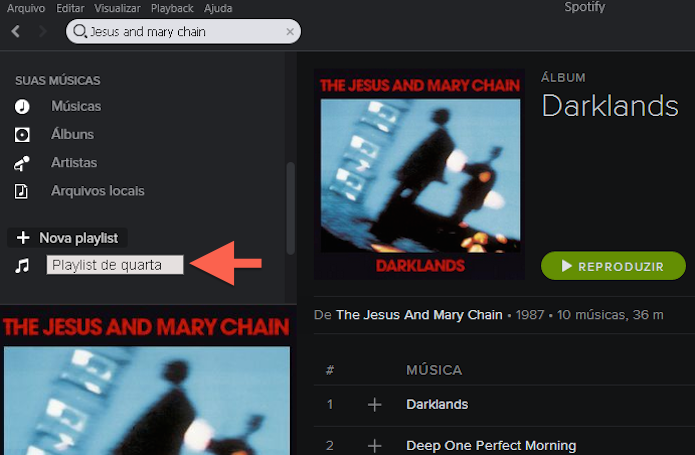Determinando um nome para uma playlist no Spotify (Foto: Reprodução/Marvin Costa)
