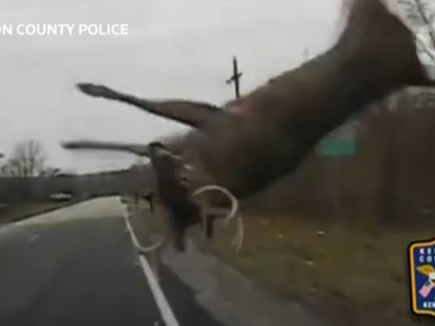 Vídeo gravado pelo carro patrulha mostra momento do atropelamento (Foto: AP)