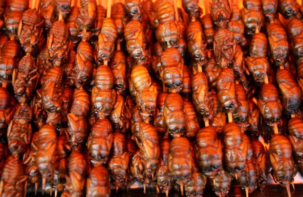 Besouros fritos na China. Os insetos são alimentos comuns no país asiático (Foto:  China Photos/Getty Images)