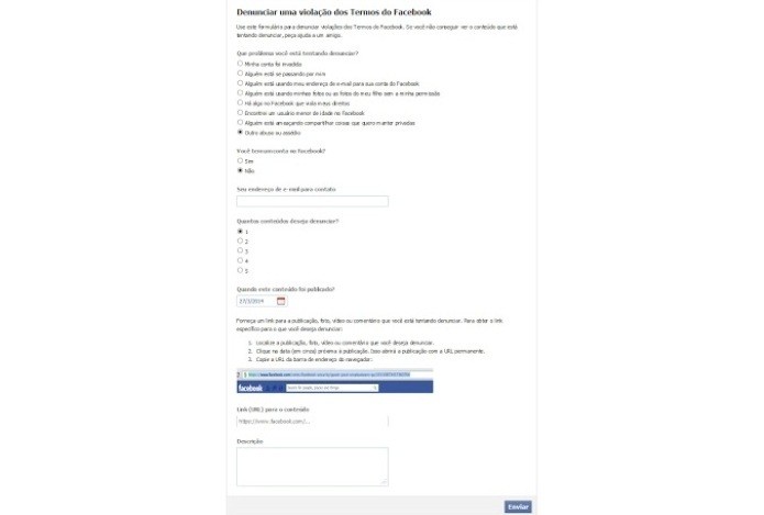 Questionário pede informações detalhadas sobre a denuncia no Facebook (Foto: Reprodução/Lívia Dâmaso)