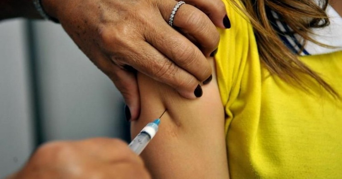 G1 - Campanha de vacinação contra febre amarela começa em ... - Globo.com