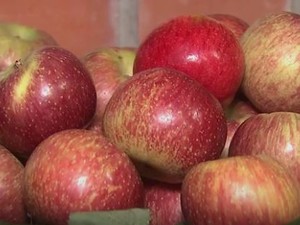 Festa Nacional da Maçã ocorre em São Joaquim (Foto: Reprodução/RBS TV)