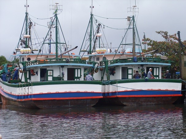 No litoral de São Paulo, a pesca de parelha é realizada por barcos de tamanho médio, que podem carregar até 20 toneladas de peixes (Foto: Divulgação)
