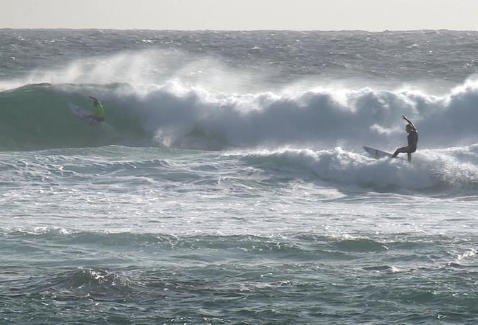 Tubarão  Margaret River Australia (Foto: Reprodução)
