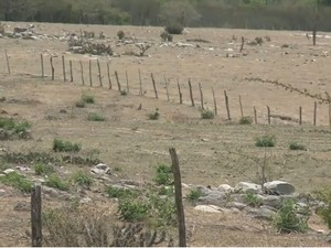 Sertanejos driblam dificuldades  (Foto: Reprodução/TV Gazeta)