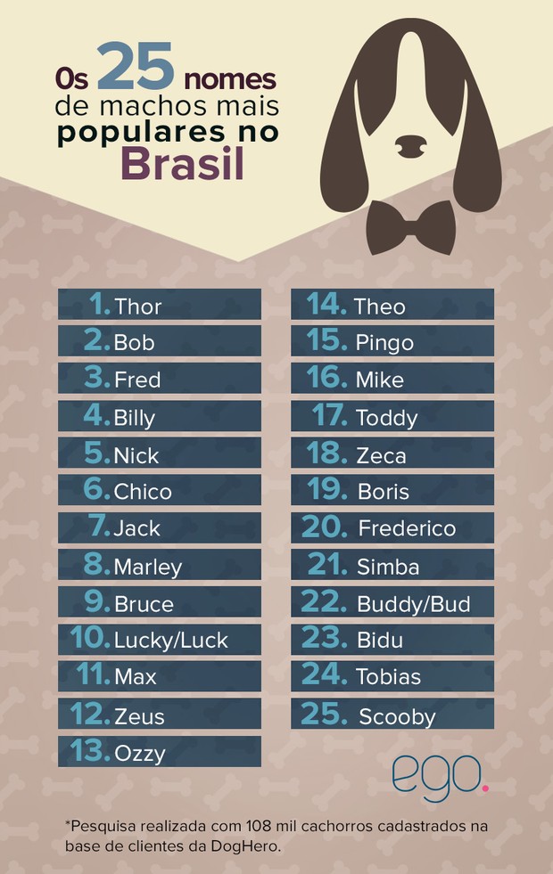 Lista de nomes populares de cachorros machos (Foto: Juliana Pinna / EGO)